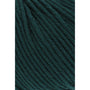 0017 Fir