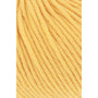 0049 Golden Yellow