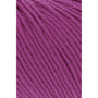 0365 Carnation