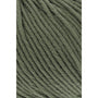 0397 Olive