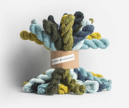Blue Sky Fibers Woolstok Bundle Kit - Cool Collection