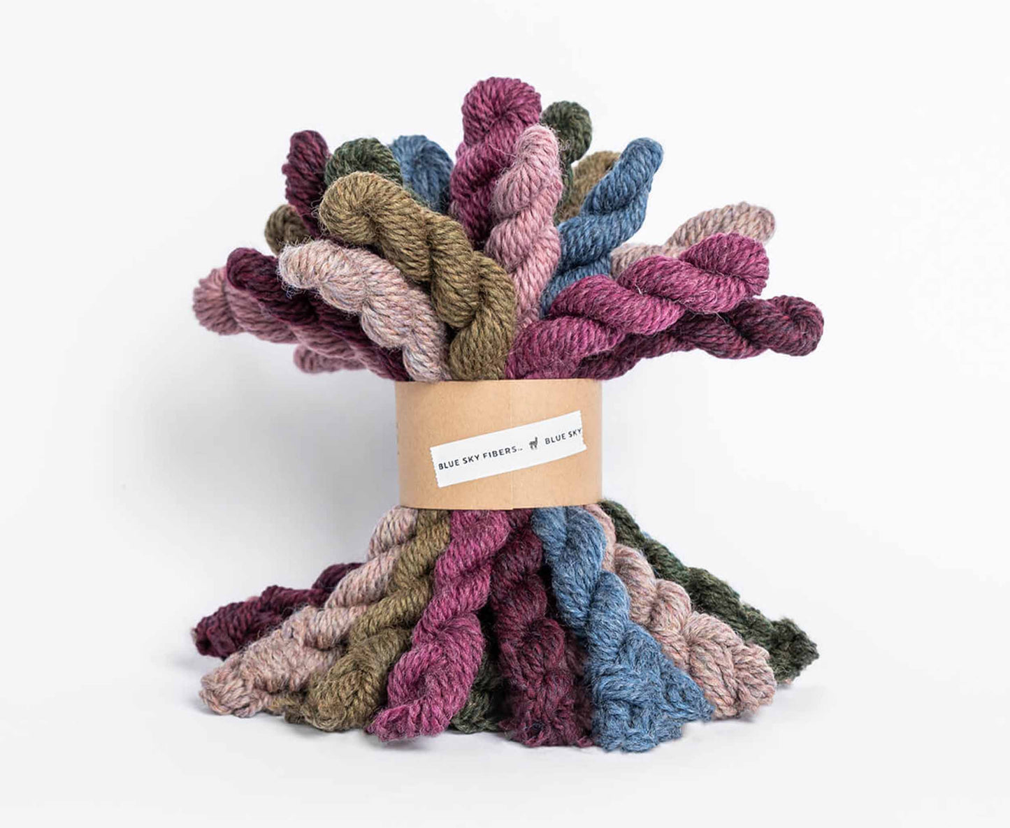 Blue Sky Fibers Woolstok Bundle Kit - Bramble and Fig