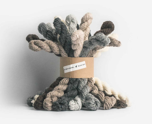 Blue Sky Fibers Woolstok Bundle Kit - Neutral Collection