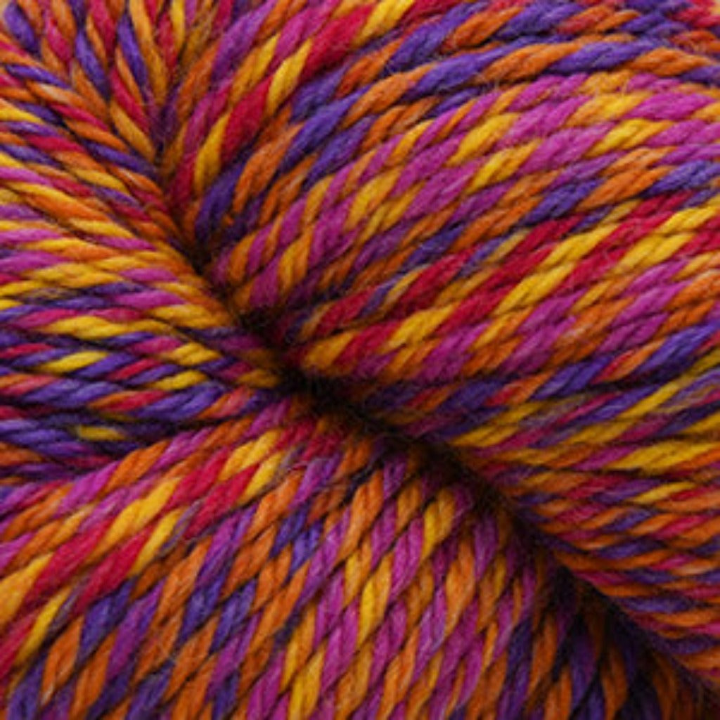 220SW Aran Wave Bird of Paradise yarn skein