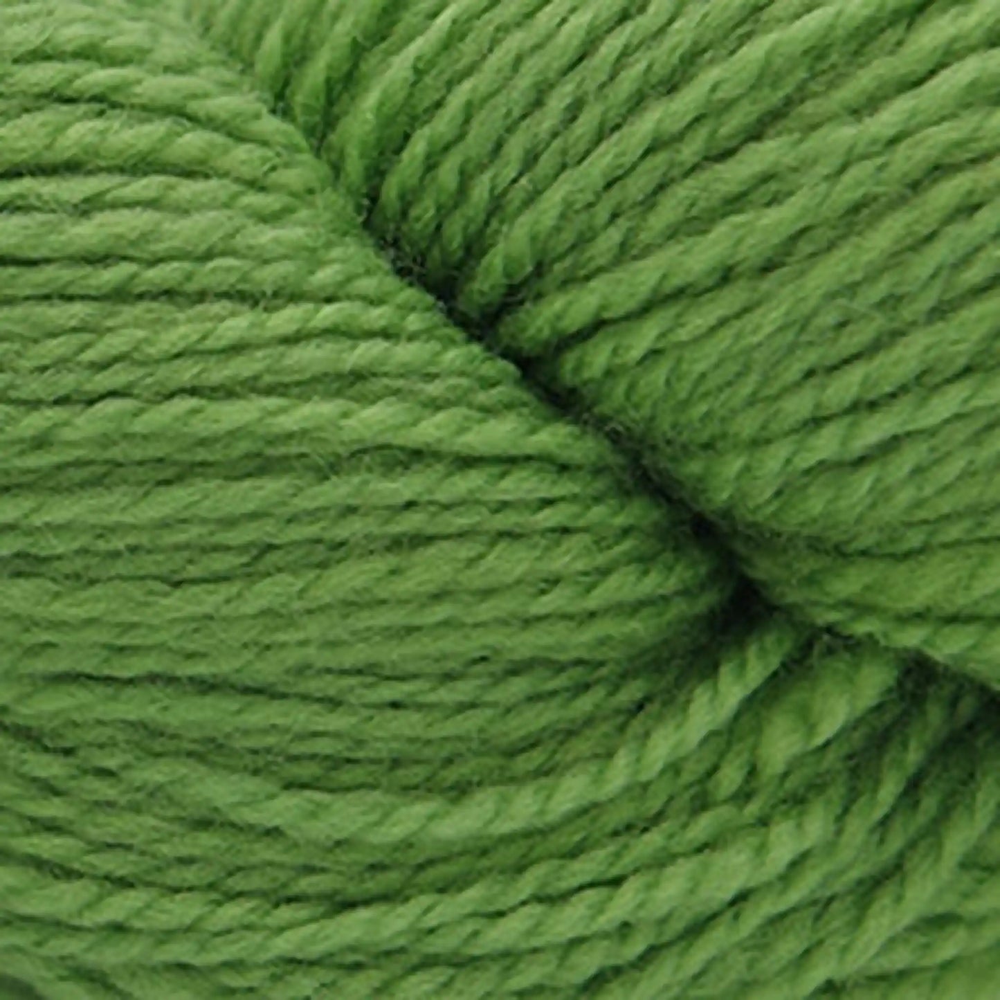Cascade 220 Superwash Fingering Yarn color 14 Kiwi