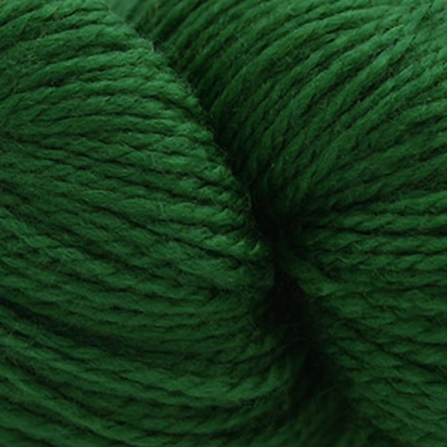 Cascade 220 Superwash Fingering Yarn color 15 Treetop
