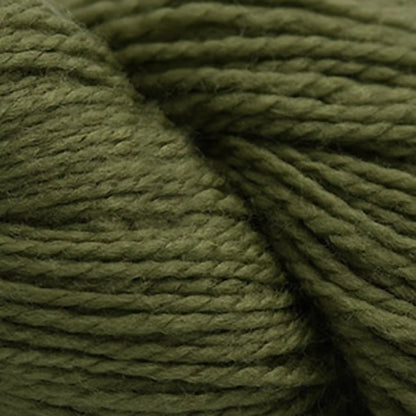 Cascade 220 Superwash Fingering Yarn color 58 Iguana