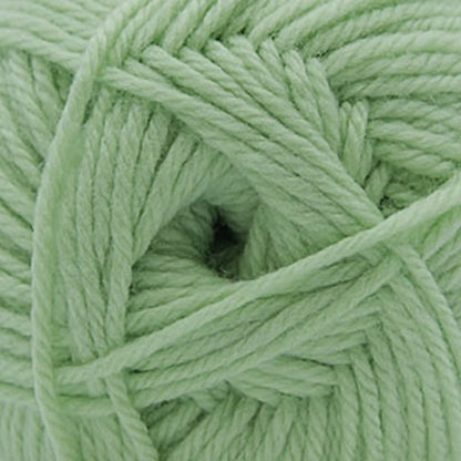 Cascade 220 Superwash Merino Medium Worsted Yarn color 120 Nile Green