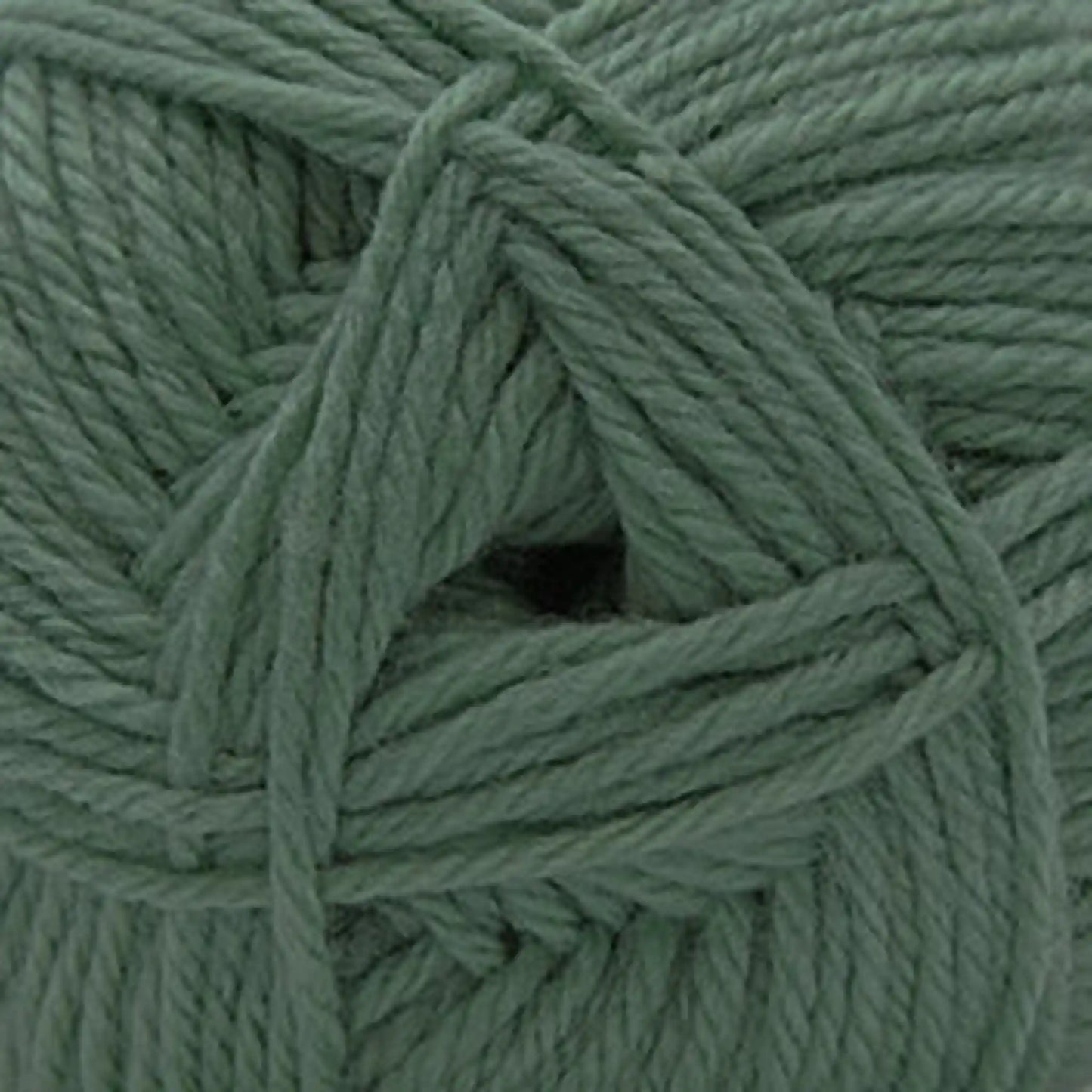 Cascade 220 Superwash Merino Medium Worsted Yarn color 126 Lily Pad