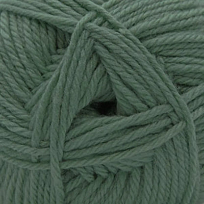 Cascade 220 Superwash Merino Medium Worsted Yarn color 126 Lily Pad