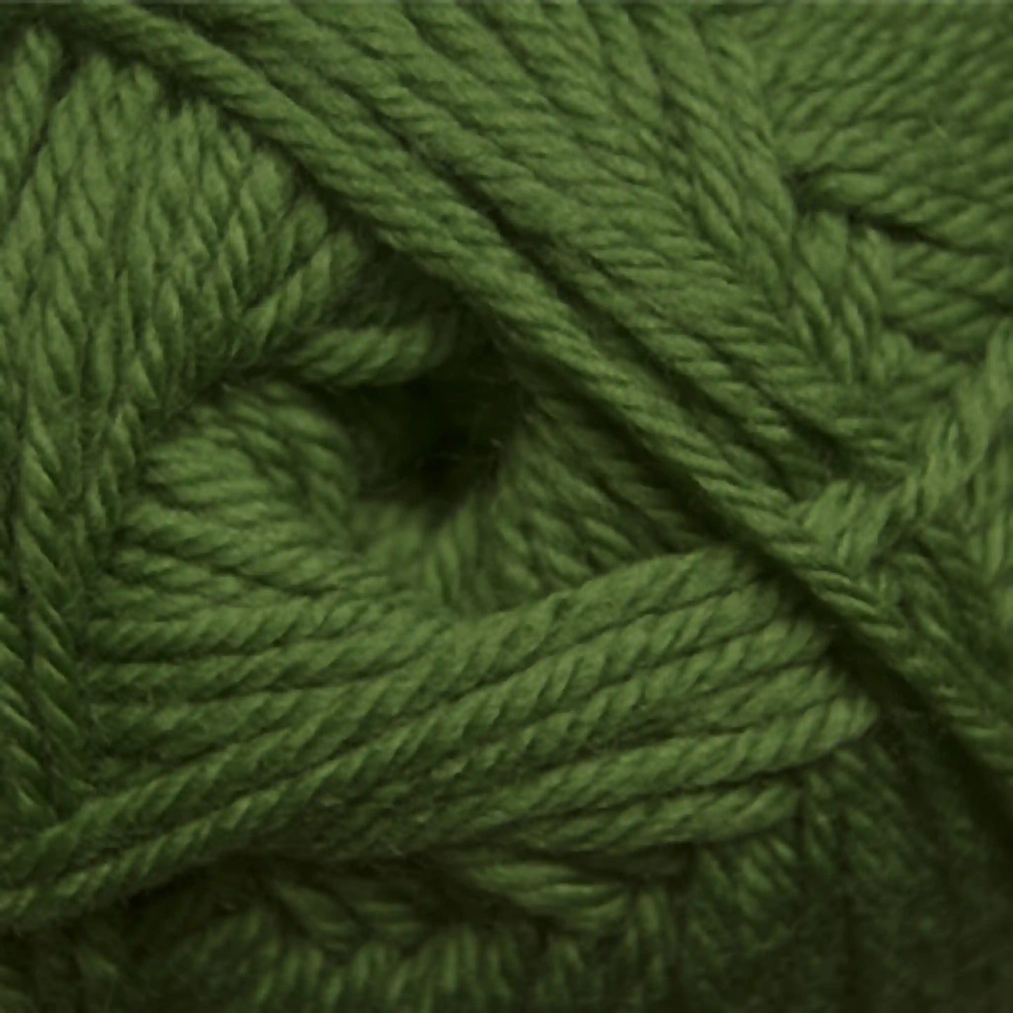 Cascade 220 Superwash Merino Medium Worsted Yarn color 15 Treetop