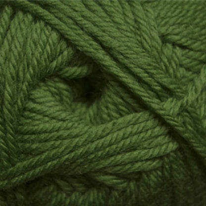 Cascade 220 Superwash Merino Medium Worsted Yarn color 15 Treetop