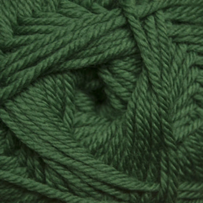 Cascade 220 Superwash Merino Medium Worsted Yarn color 16 Verdant Green