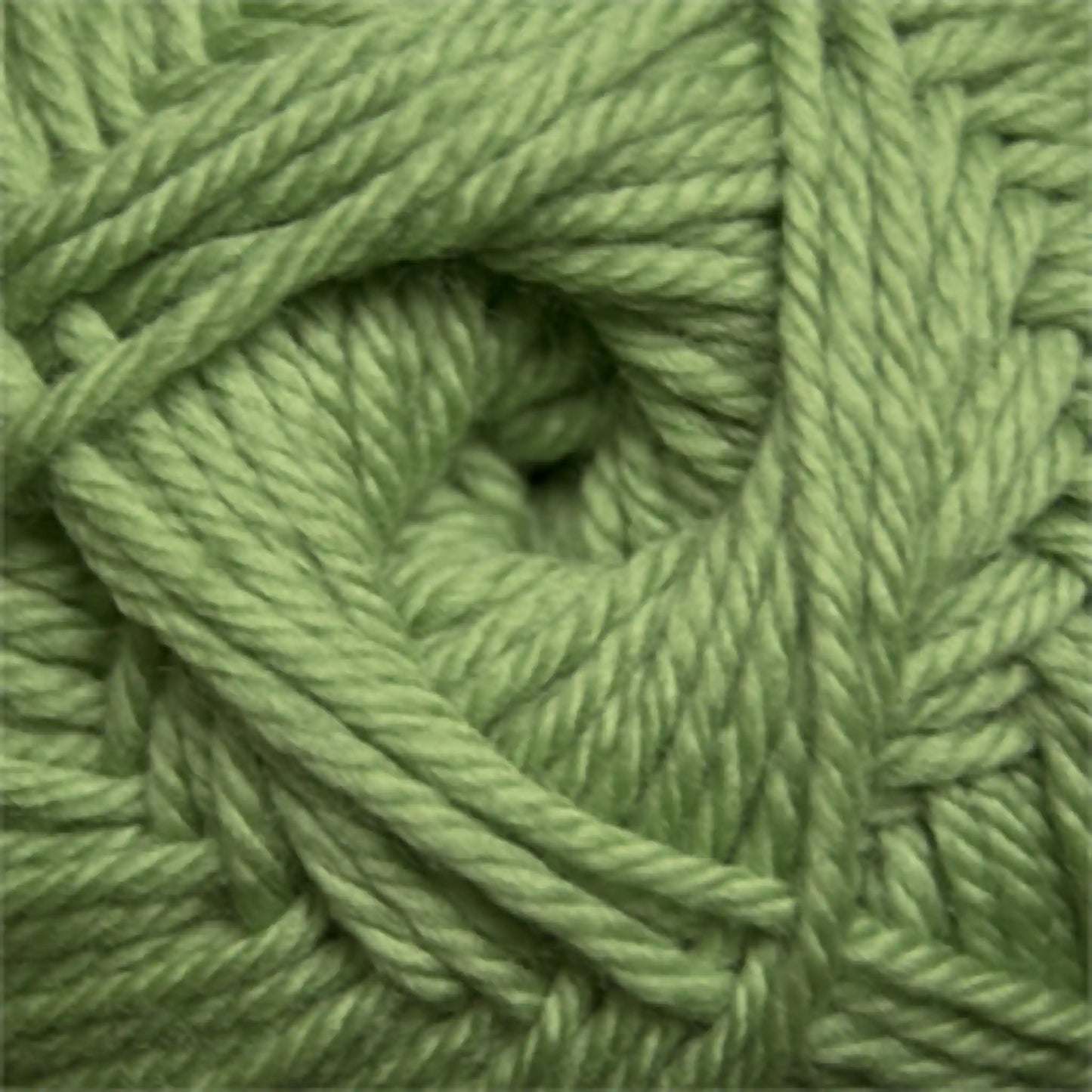 Cascade 220 Superwash Merino Medium Worsted Yarn color 17 Green Tea