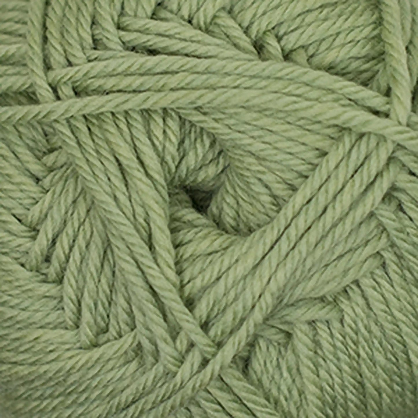 Cascade 220 Superwash Merino Medium Worsted Yarn color 42 Celery Heather