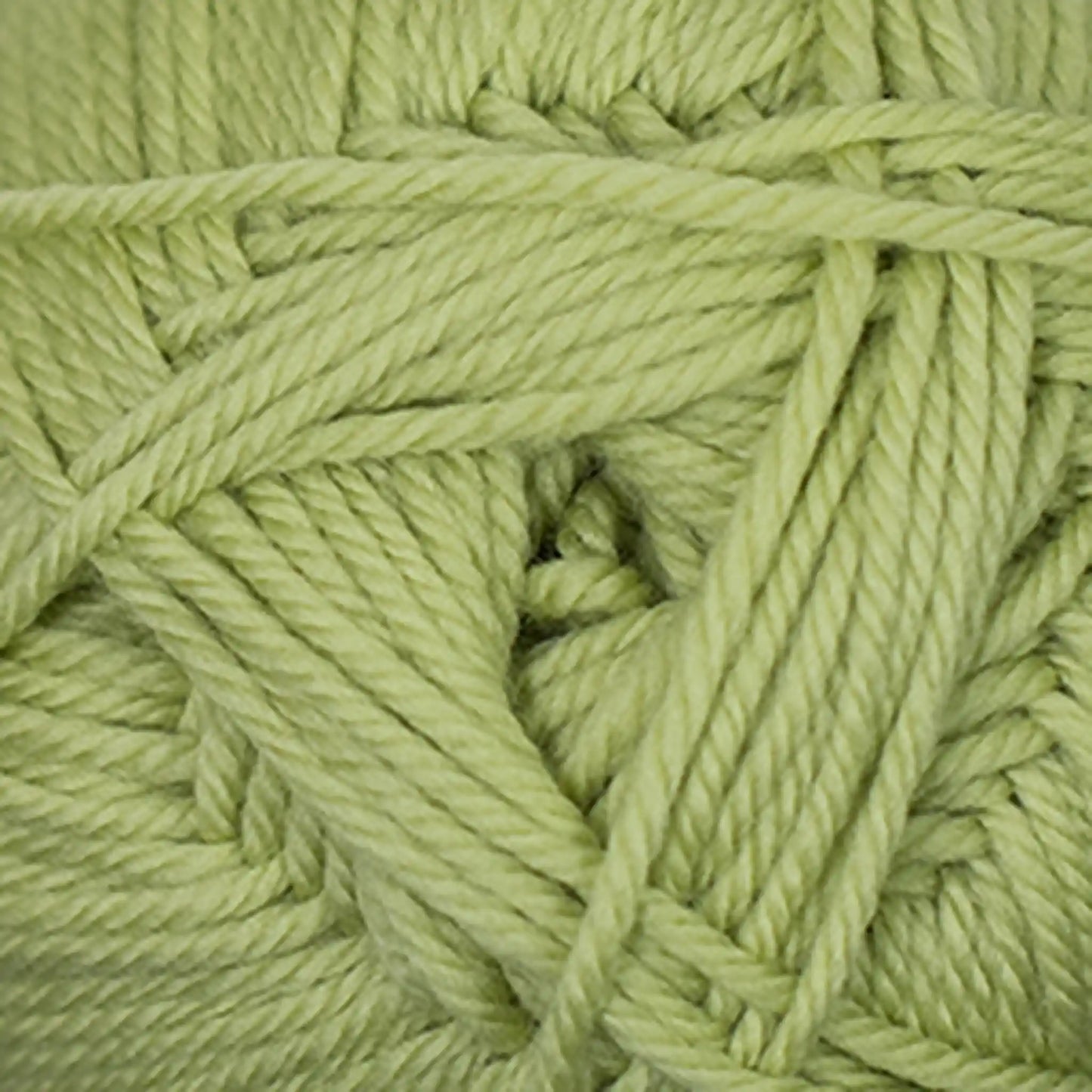 Cascade 220 Superwash Merino Medium Worsted Yarn color 57 Sweet Pea