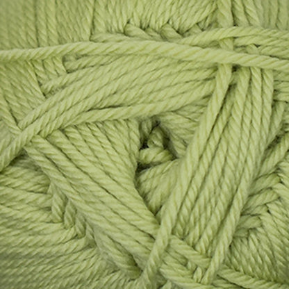 Cascade 220 Superwash Merino Medium Worsted Yarn color 57 Sweet Pea