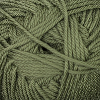 Cascade 220 Superwash Merino Medium Worsted Yarn color 58 Iguana