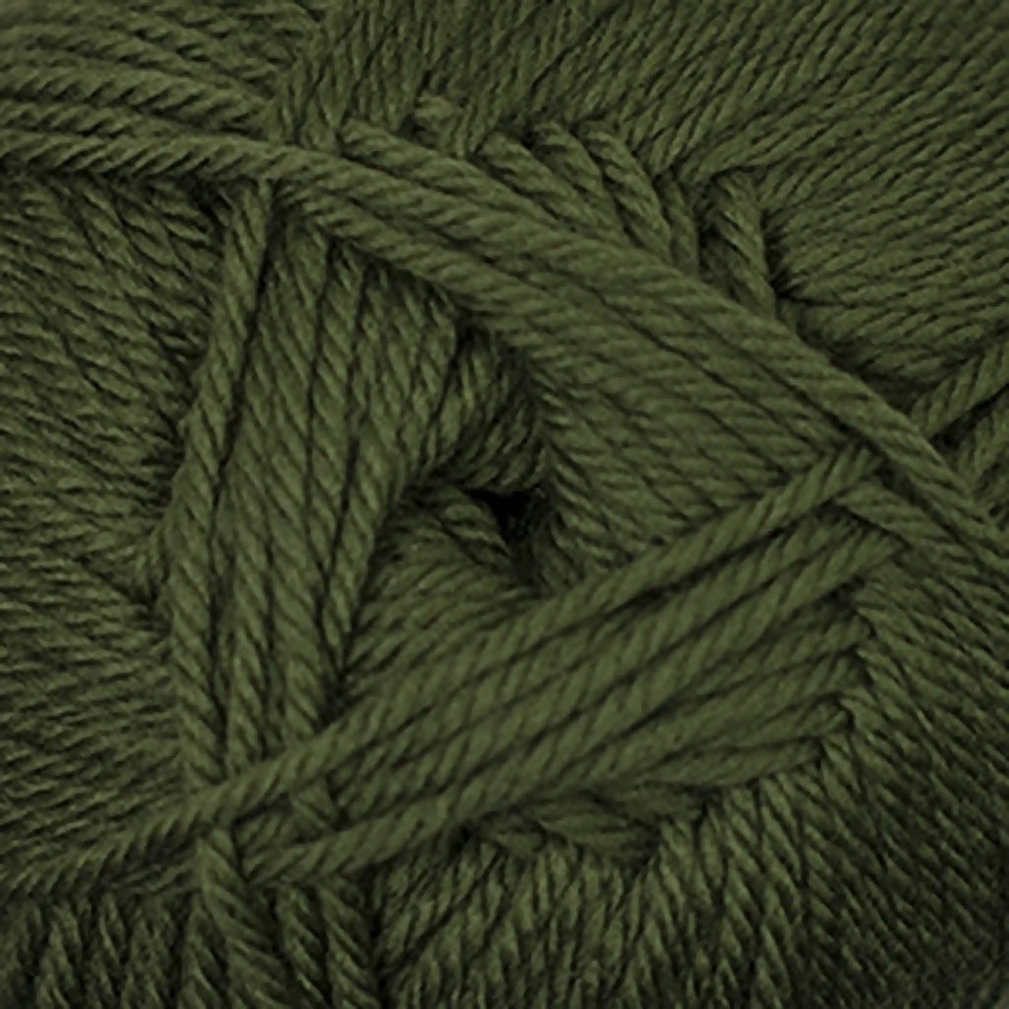 Cascade 220 Superwash Merino Medium Worsted Yarn color 59 Chive