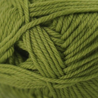 Cascade 220 Superwash Merino Medium Worsted Yarn color 84 Peridot