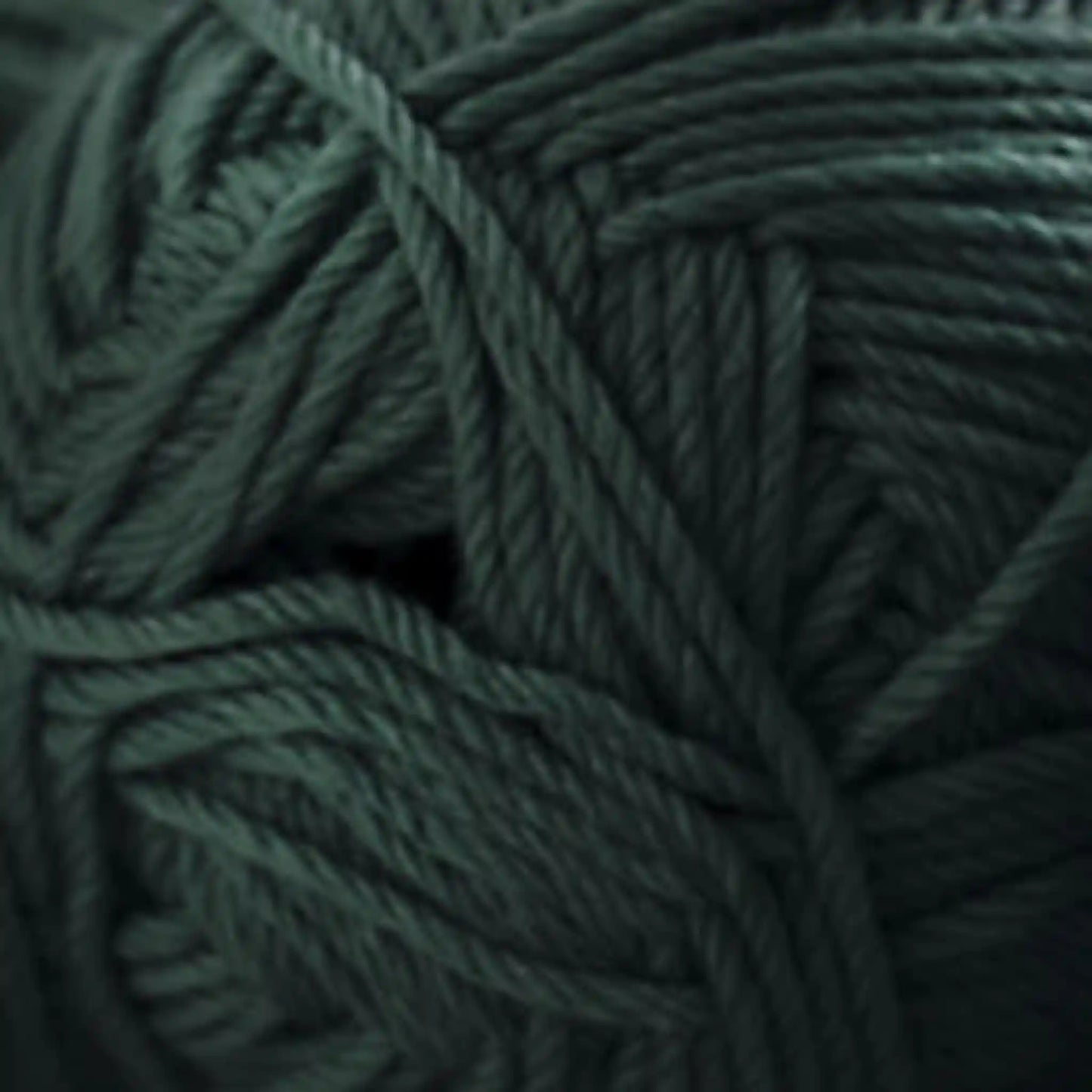 Cascade 220 Superwash Merino Medium Worsted Yarn color 86 Antique Green