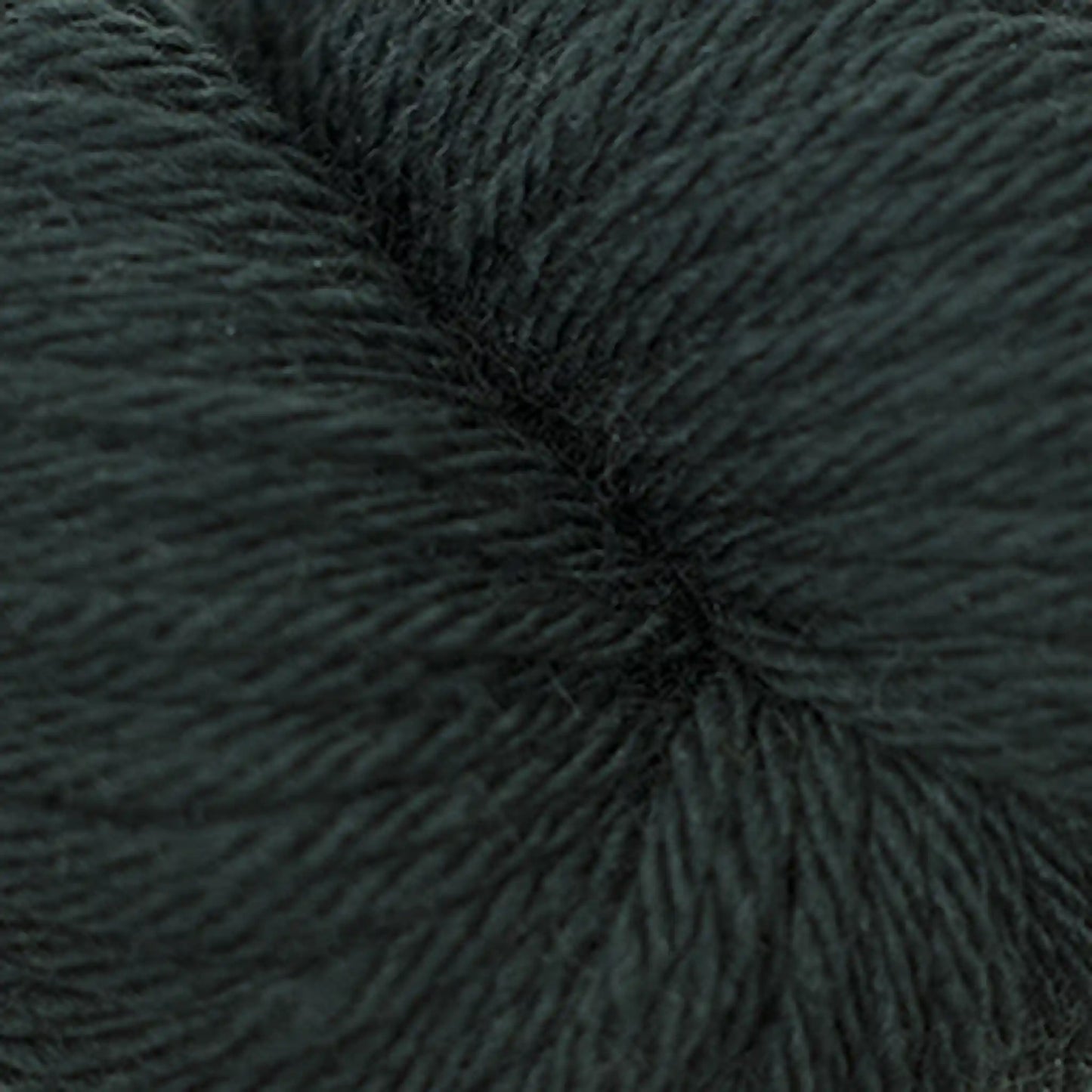Cascade 220 Superwash Sport Yarn color 258 Pine Grove