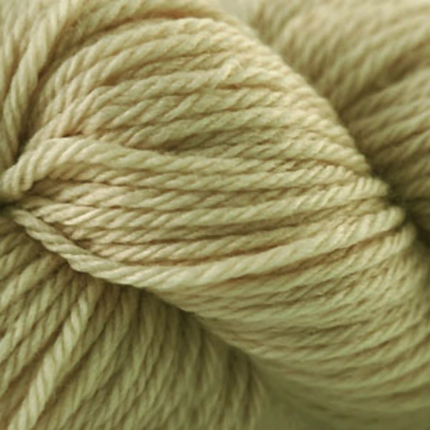 Cascade 220 Superwash Sport Yarn color 318 Silver Fern