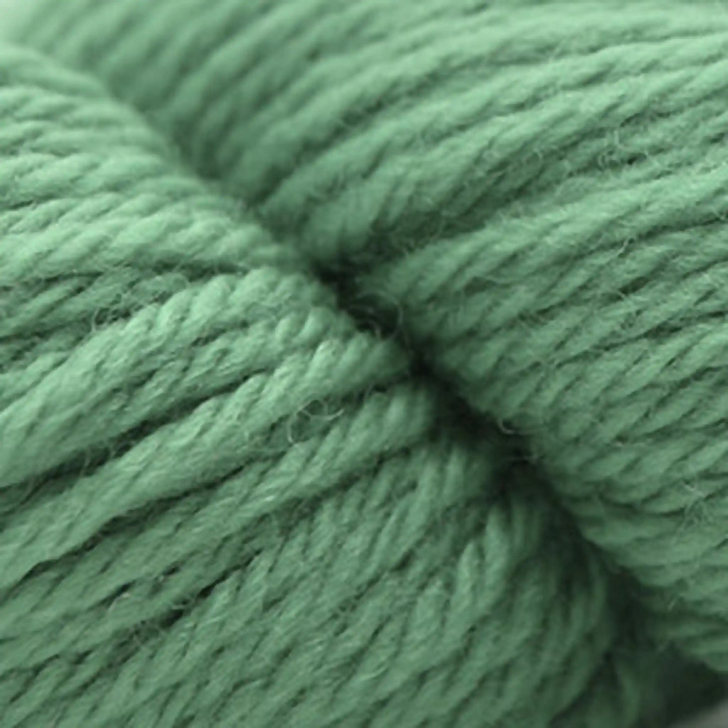 Cascade 220 Superwash Sport Yarn color 327 Subtle Green