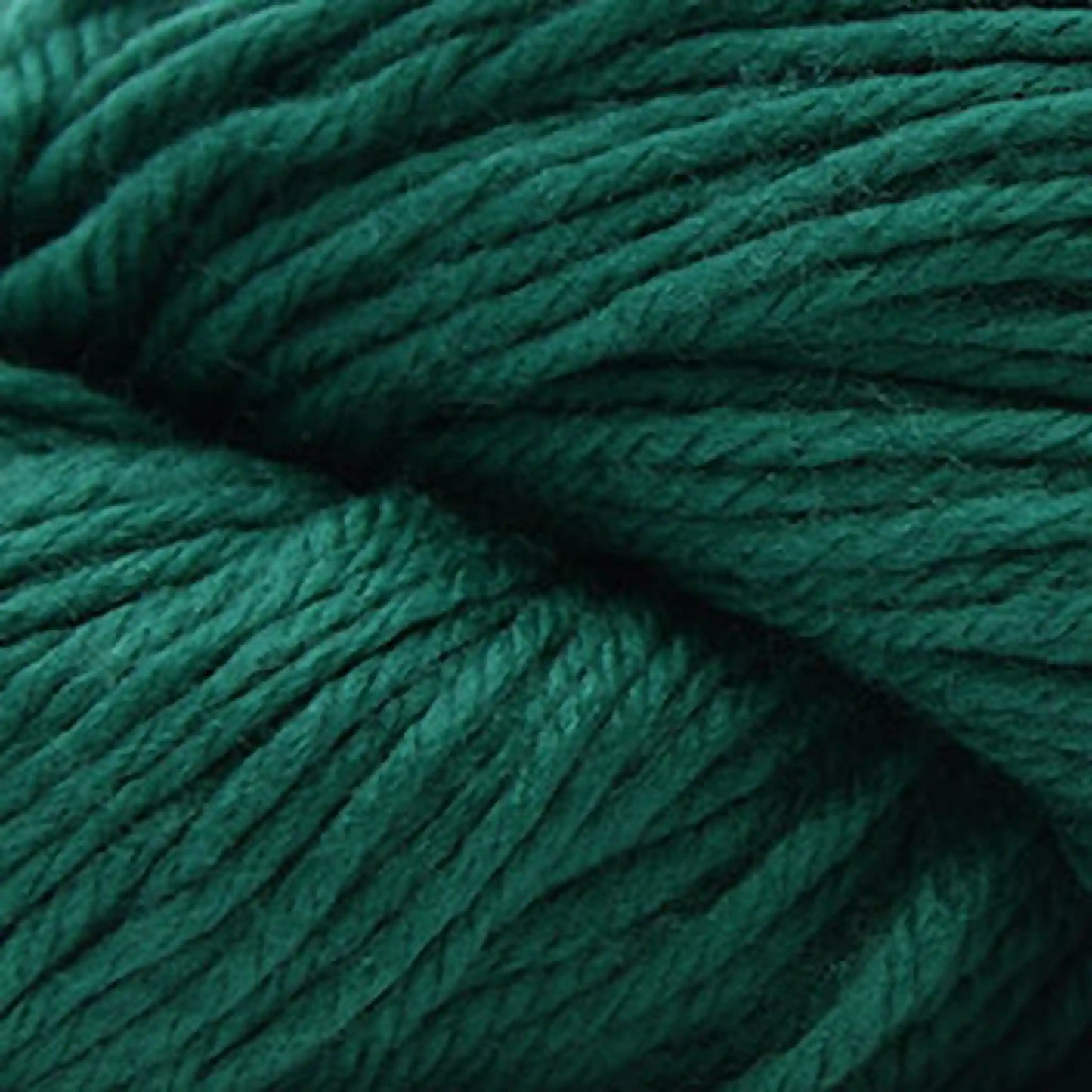 Cascade 220 Superwash Sport Yarn color 501 Alpine Green