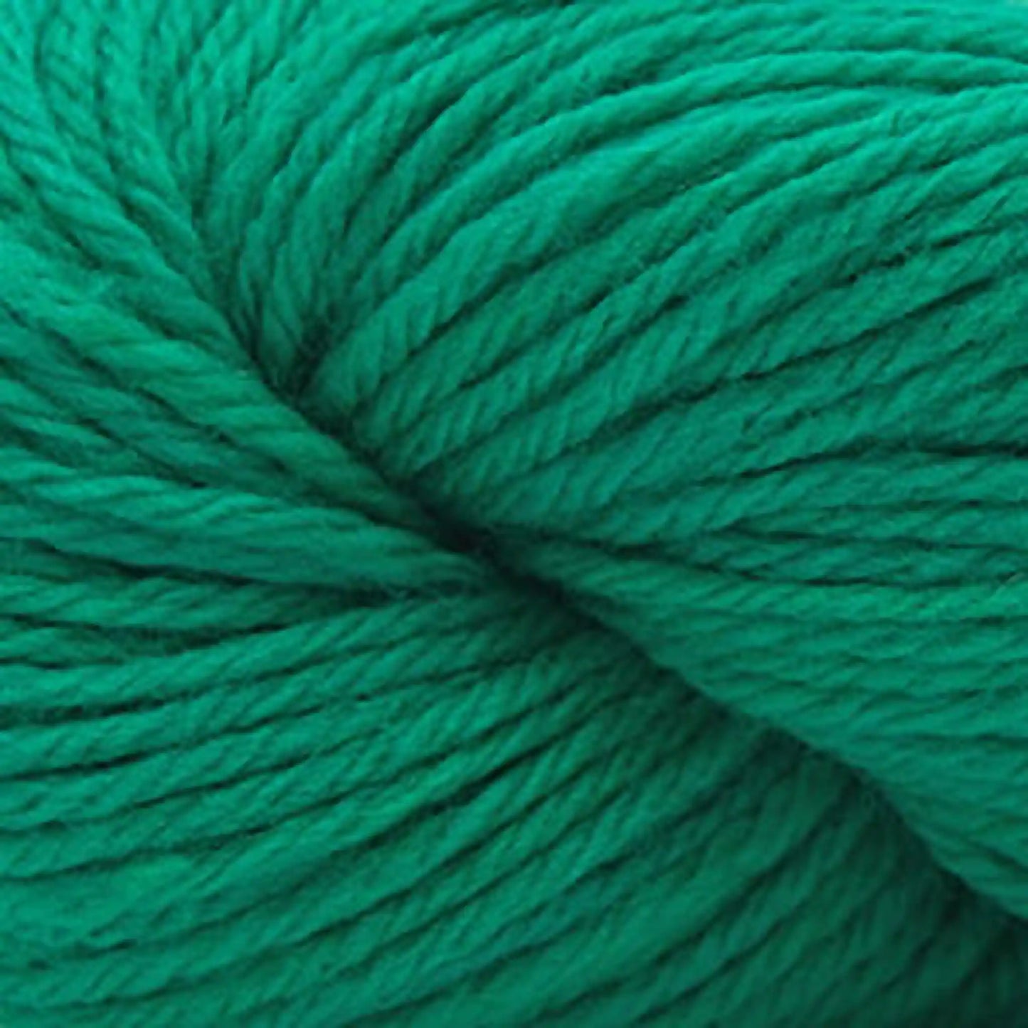 Cascade 220 Superwash Sport Yarn color 502 Sea Green