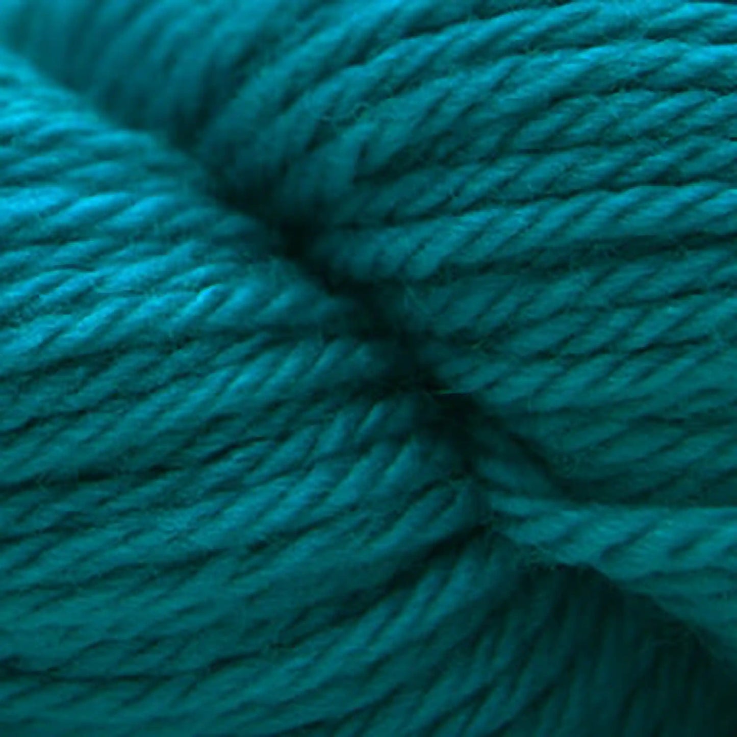 Cascade 220 Superwash Sport Yarn color 810 Teal