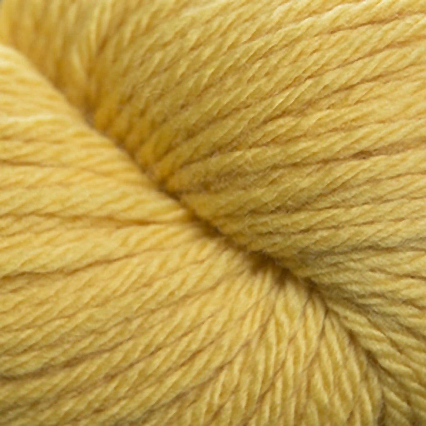 Cascade 220 Superwash Sport Yarn color 821 Daffodil
