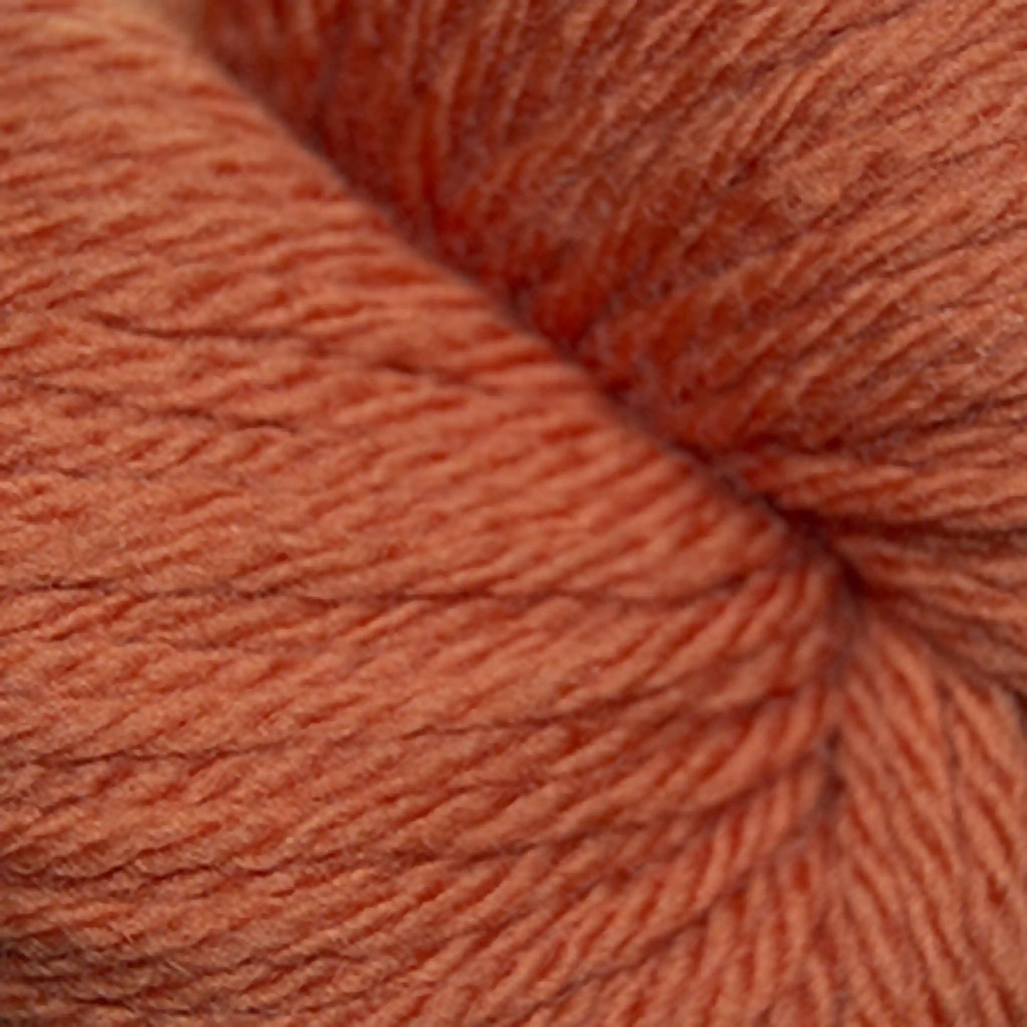 Cascade 220 Superwash Sport Yarn color 822 Pumpkin