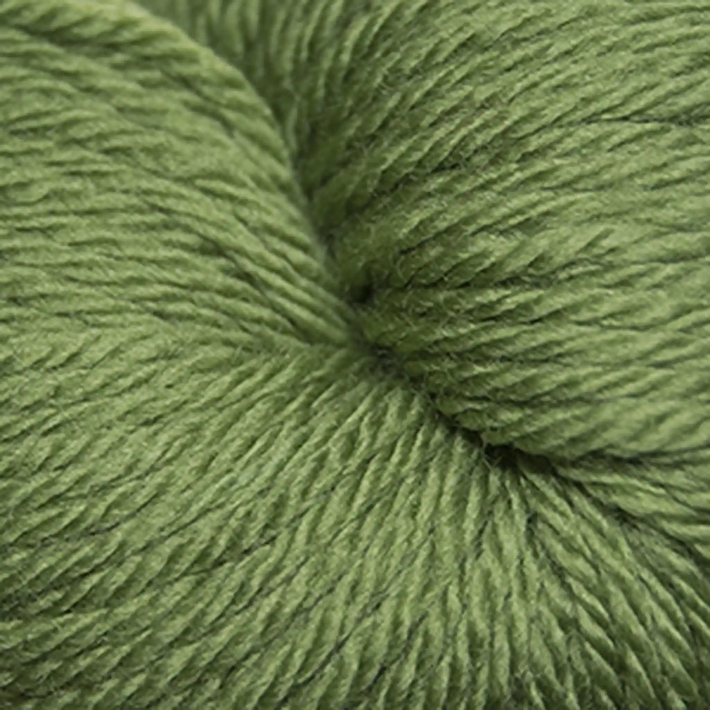 Cascade 220 Superwash Sport Yarn color 841 Moss