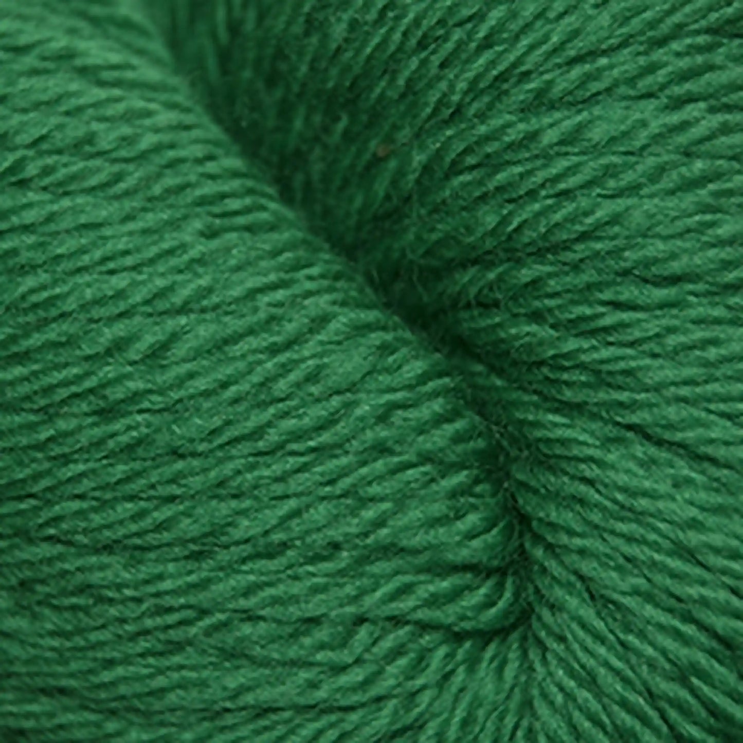 Cascade 220 Superwash Sport Yarn color 864 Christmas Green