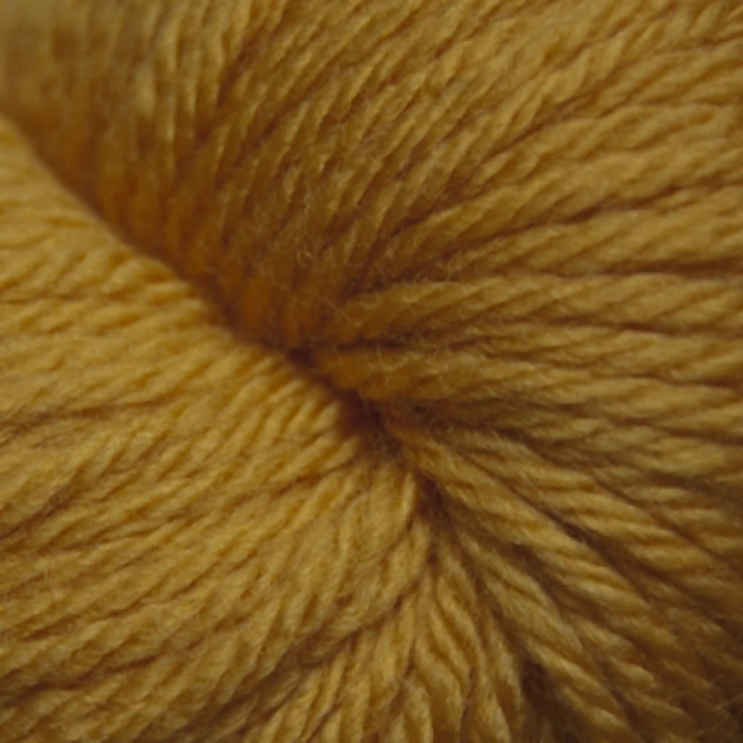 Cascade 220 Superwash Sport Yarn color 877 Golden