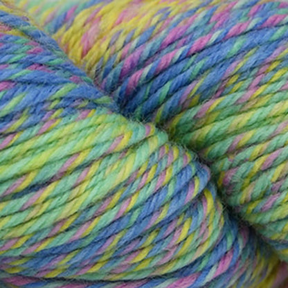 Cascade 220 Superwash Wave Worsted Yarn color 120 Springtime