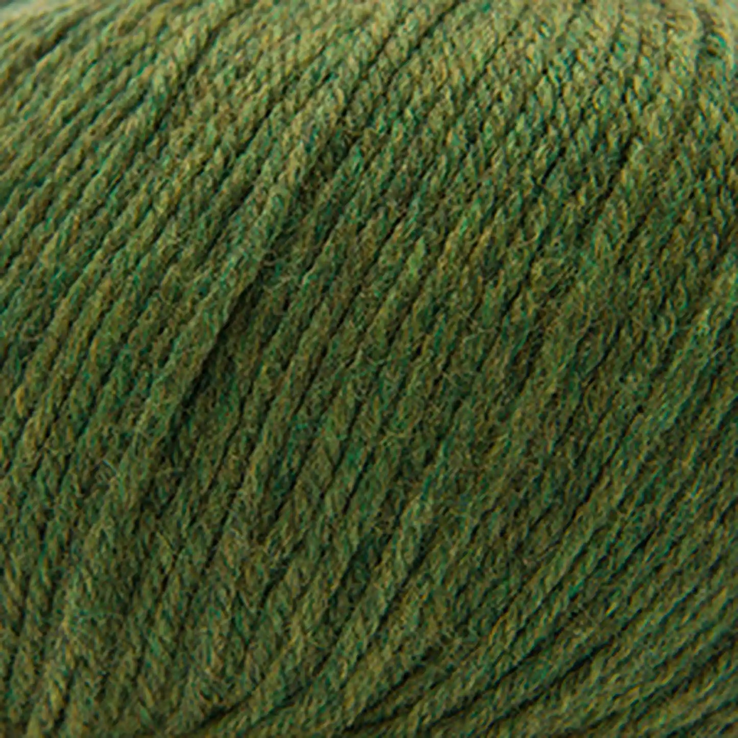 Cascade 220 Superwash Worsted Yarn color 376 Irelande