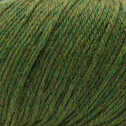 Cascade 220 Superwash Worsted Yarn color 376 Irelande