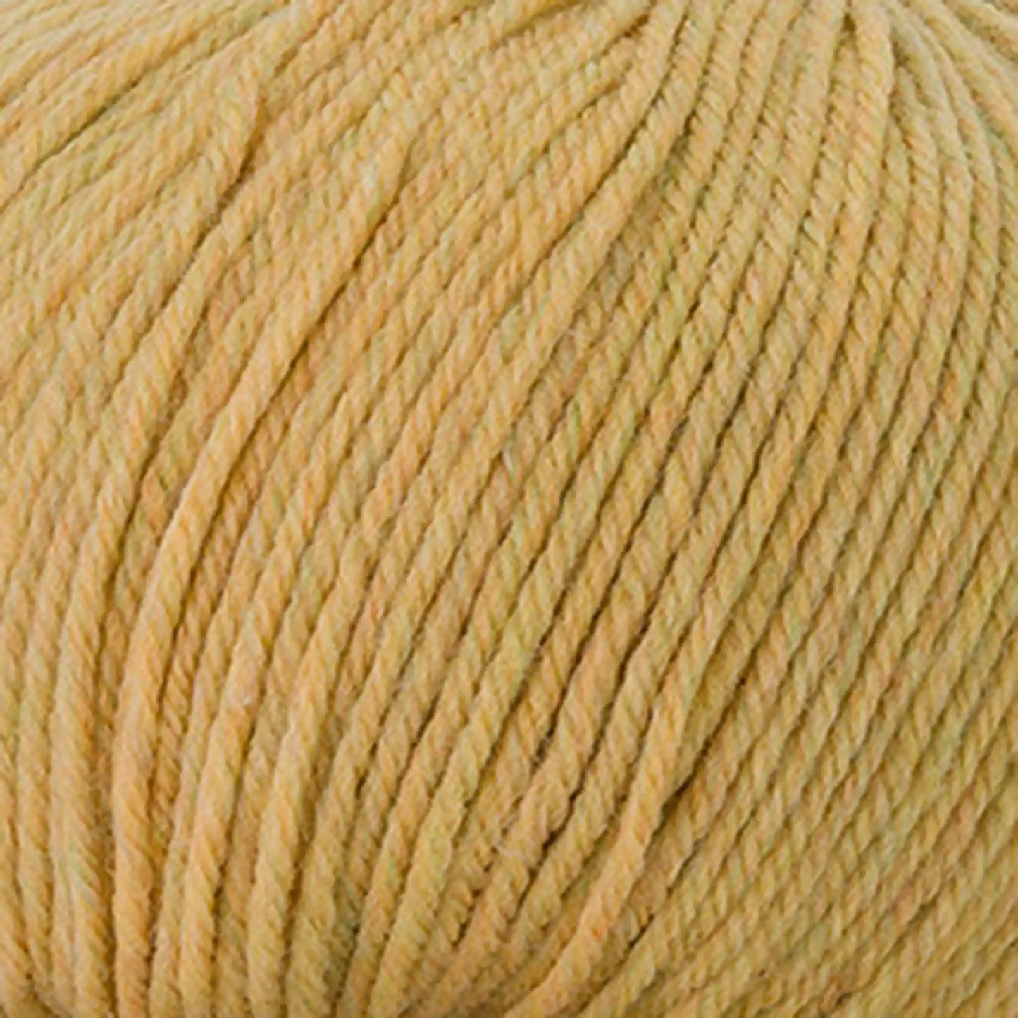 Cascade 220 Superwash Worsted Yarn color 380 Wheat Heather
