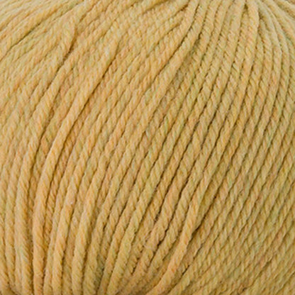 Cascade 220 Superwash Worsted Yarn color 380 Wheat Heather