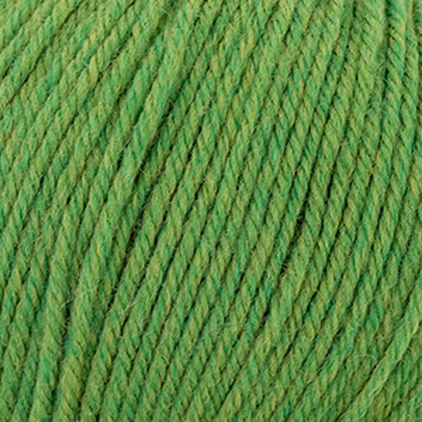 Cascade 220 Superwash Worsted Yarn color 384 Fern Heather