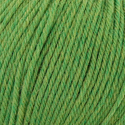 Cascade 220 Superwash Worsted Yarn color 384 Fern Heather