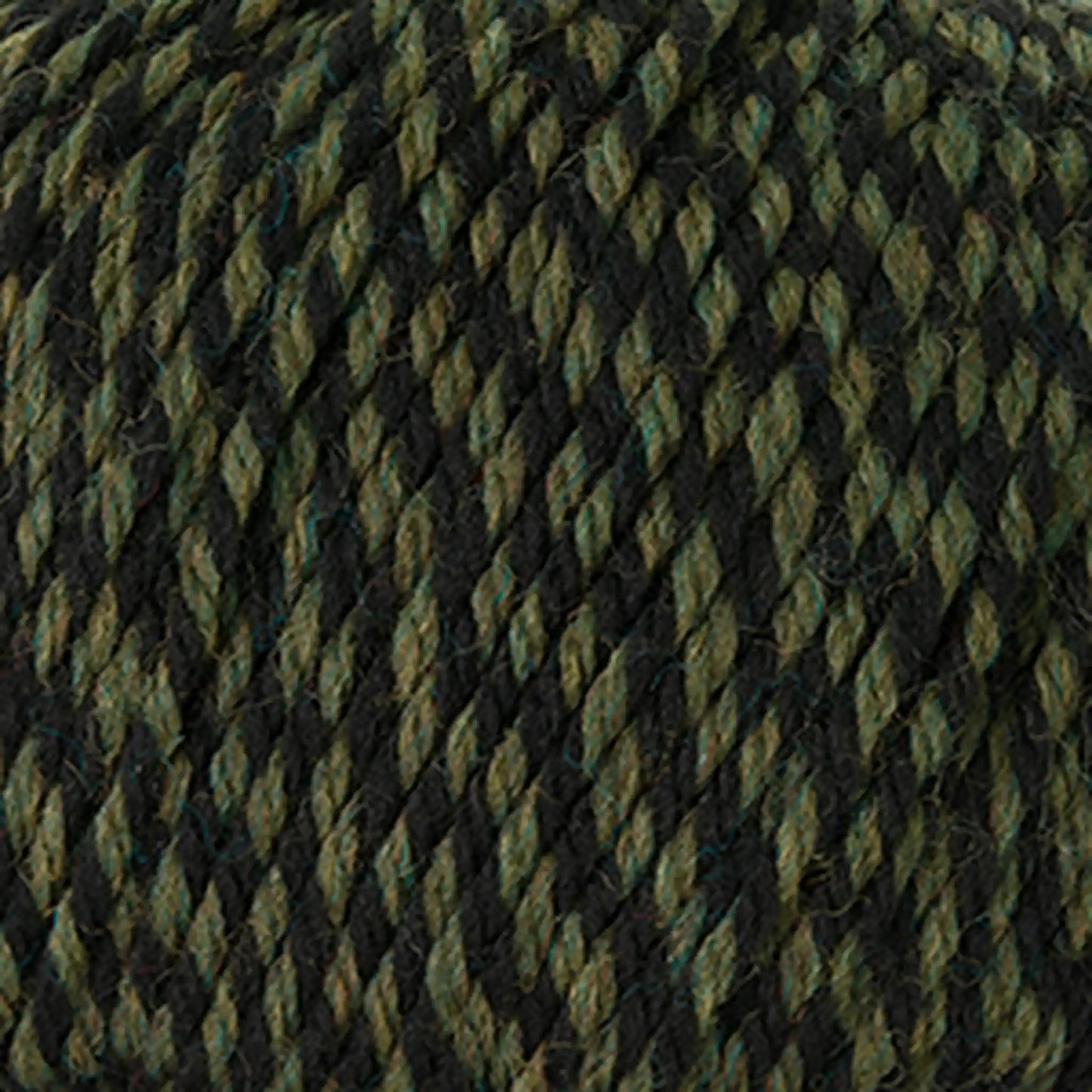 Cascade 220 Superwash Worsted Yarn color 385 Lichen Twist