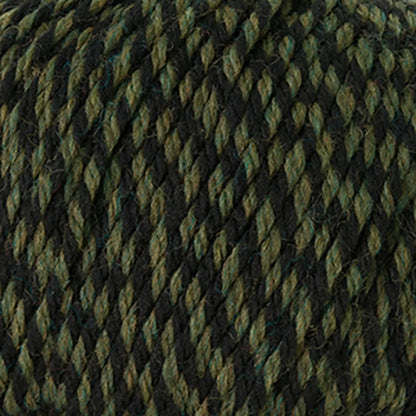 Cascade 220 Superwash Worsted Yarn color 385 Lichen Twist