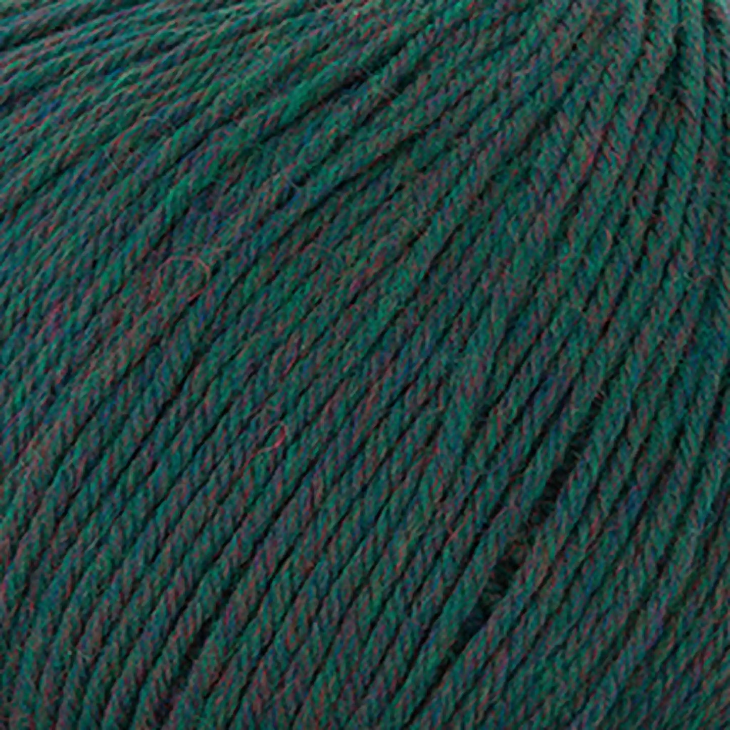 Cascade 220 Superwash Worsted Yarn color 386 Rainforest Heather