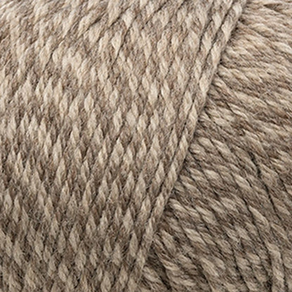 Cascade 220 Superwash Worsted Yarn color 400 Walnut Marl