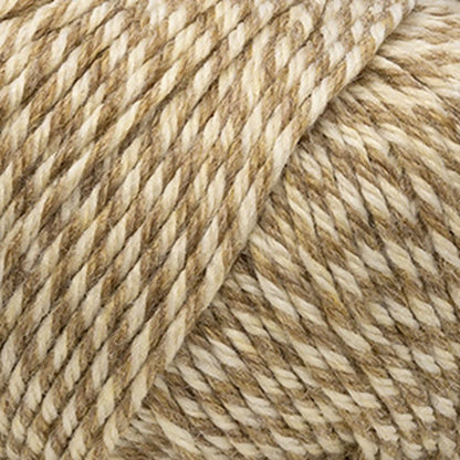 Cascade 220 Superwash Worsted Yarn color 403 Antique Marl