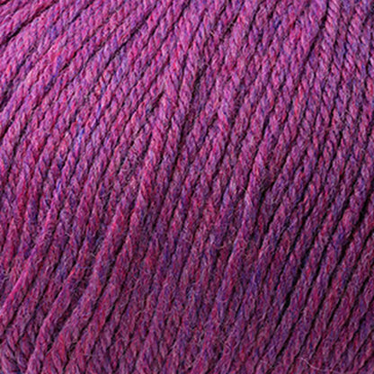 Cascade 220 Superwash Worsted Yarn color 415 Clover Heather