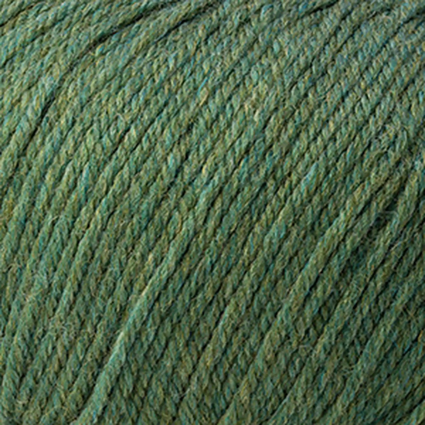 Cascade 220 Superwash Worsted Yarn color 419 Meadow Heather
